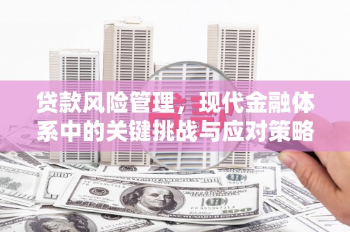 蒲江贷款风险管理，现代金融体系中的关键挑战与应对策略