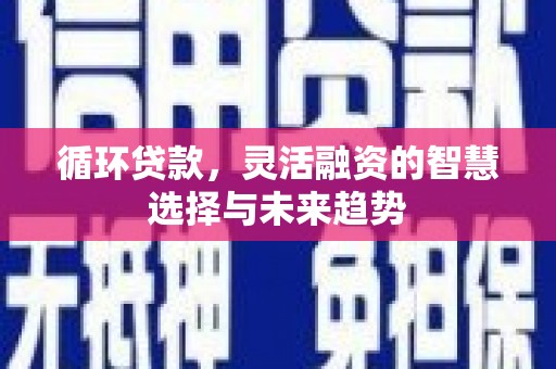 蒲江循环贷款，灵活融资的智慧选择与未来趋势