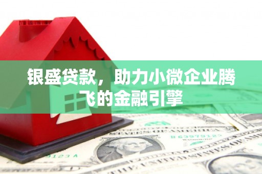 蒲江银盛贷款，助力小微企业腾飞的金融引擎