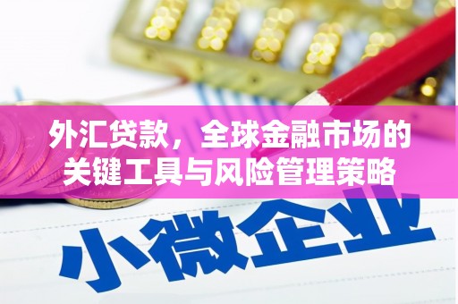 蒲江外汇贷款，全球金融市场的关键工具与风险管理策略
