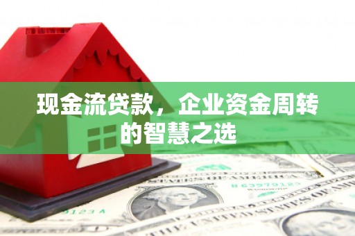 蒲江现金流贷款，企业资金周转的智慧之选