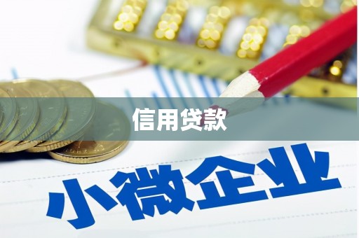 蒲江信用贷款