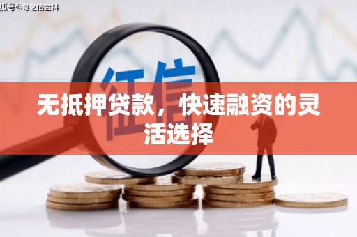 蒲江无抵押贷款，快速融资的灵活选择