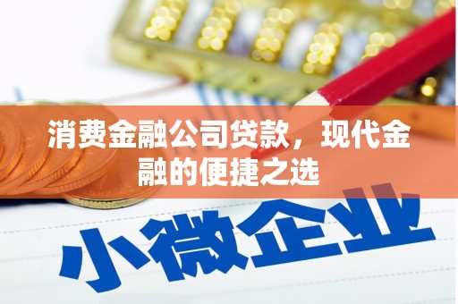 蒲江消费金融公司贷款，现代金融的便捷之选
