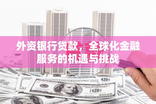 蒲江外资银行贷款，全球化金融服务的机遇与挑战