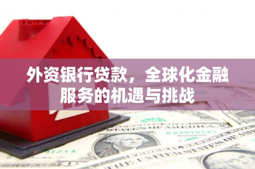 蒲江外资银行贷款，全球化金融服务的机遇与挑战