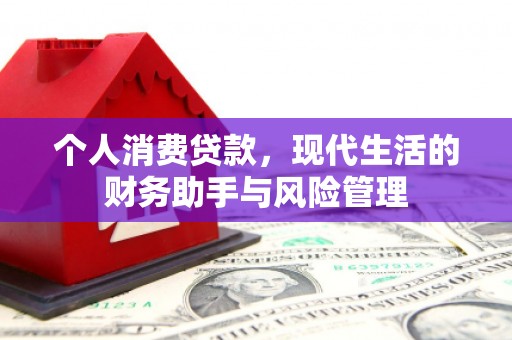 蒲江个人消费贷款，现代生活的财务助手与风险管理