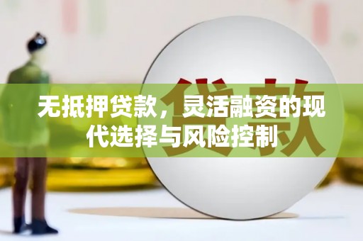 蒲江无抵押贷款，灵活融资的现代选择与风险控制