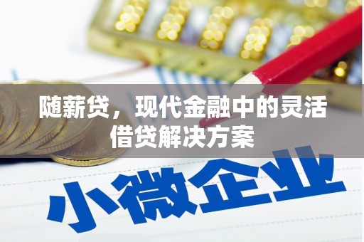 蒲江随薪贷，现代金融中的灵活借贷解决方案