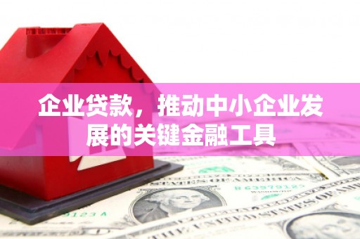 蒲江企业贷款，推动中小企业发展的关键金融工具