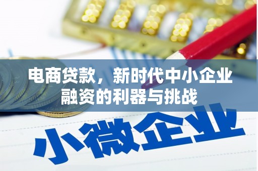 蒲江电商贷款，新时代中小企业融资的利器与挑战