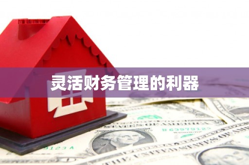 蒲江灵活财务管理的利器