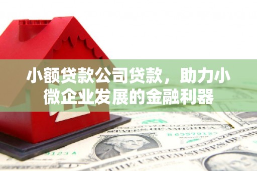 蒲江小额贷款公司贷款，助力小微企业发展的金融利器