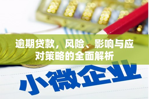 蒲江逾期贷款，风险、影响与应对策略的全面解析