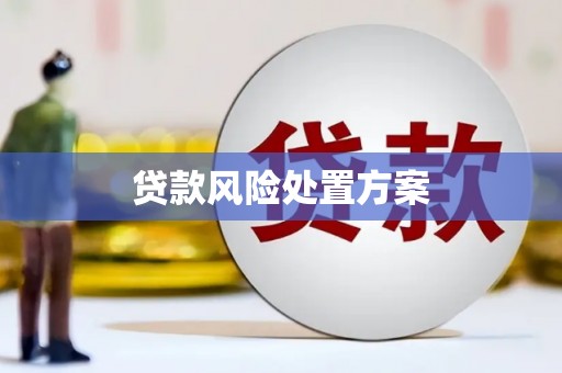 蒲江贷款风险处置方案