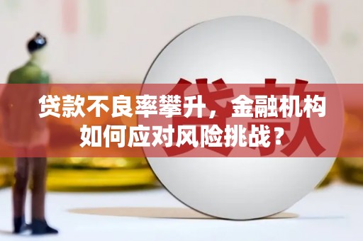 蒲江贷款不良率攀升，金融机构如何应对风险挑战？
