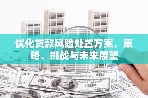 蒲江优化贷款风险处置方案，策略、挑战与未来展望