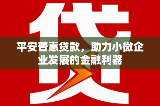 蒲江平安普惠贷款，助力小微企业发展的金融利器