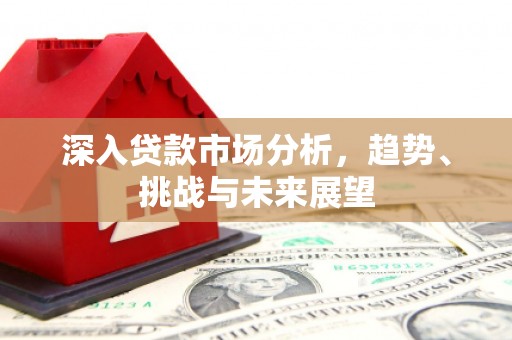 蒲江深入贷款市场分析，趋势、挑战与未来展望
