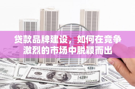 蒲江贷款品牌建设，如何在竞争激烈的市场中脱颖而出