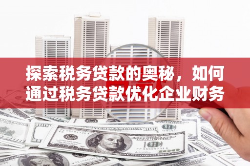 蒲江探索税务贷款的奥秘，如何通过税务贷款优化企业财务