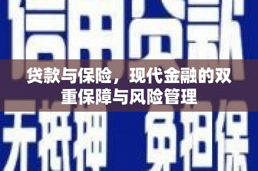 蒲江贷款与保险，现代金融的双重保障与风险管理