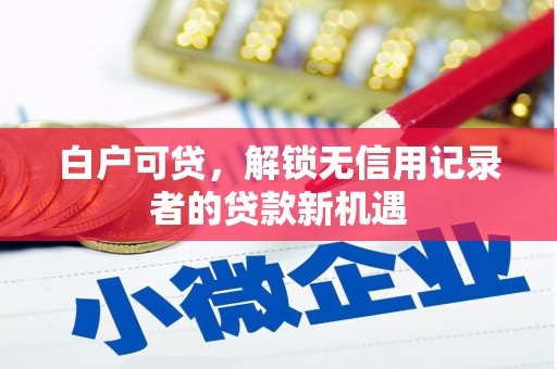 蒲江白户可贷，解锁无信用记录者的贷款新机遇