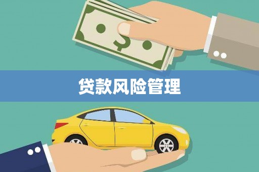 蒲江贷款风险管理