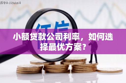 蒲江小额贷款公司利率，如何选择最优方案？