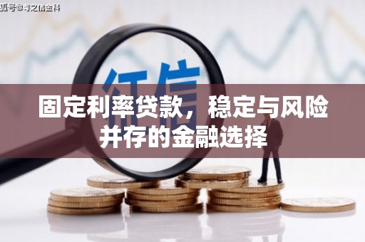 蒲江固定利率贷款，稳定与风险并存的金融选择