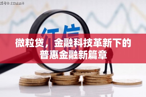 蒲江微粒贷，金融科技革新下的普惠金融新篇章