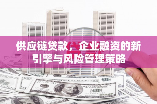 蒲江供应链贷款，企业融资的新引擎与风险管理策略