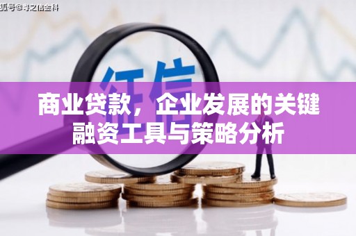 蒲江商业贷款，企业发展的关键融资工具与策略分析