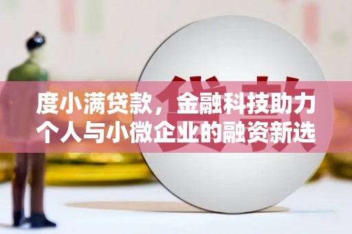 蒲江度小满贷款，金融科技助力个人与小微企业的融资新选择
