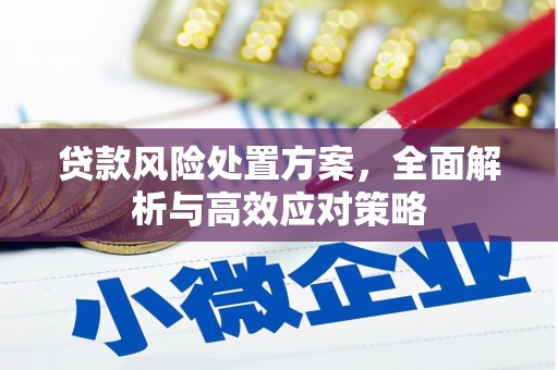 蒲江贷款风险处置方案，全面解析与高效应对策略