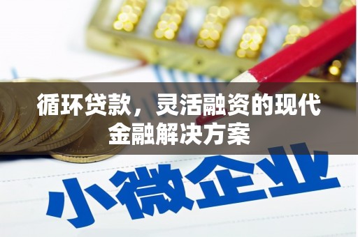 蒲江循环贷款，灵活融资的现代金融解决方案