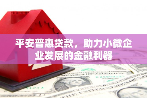 蒲江平安普惠贷款，助力小微企业发展的金融利器