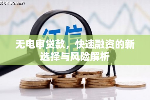 蒲江无电审贷款，快速融资的新选择与风险解析