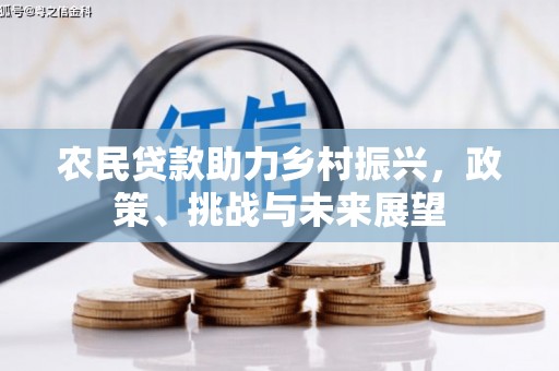 蒲江农民贷款助力乡村振兴，政策、挑战与未来展望