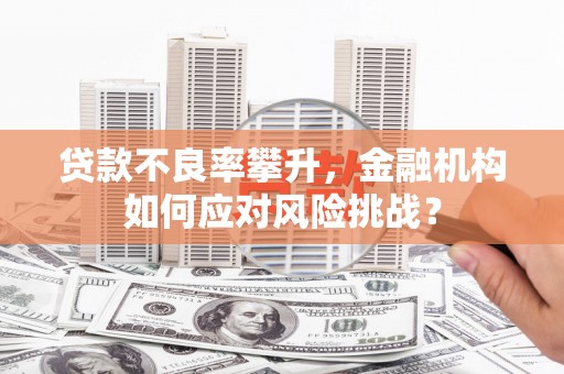 蒲江贷款不良率攀升，金融机构如何应对风险挑战？