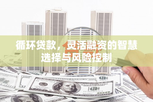 蒲江循环贷款，灵活融资的智慧选择与风险控制