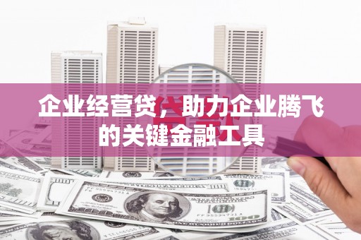蒲江企业经营贷，助力企业腾飞的关键金融工具