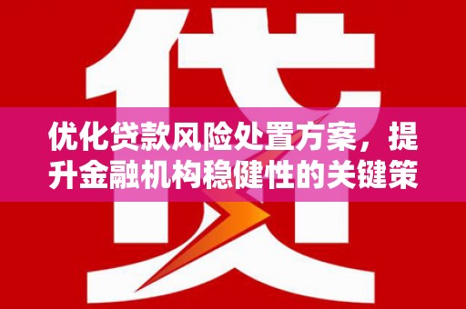 蒲江优化贷款风险处置方案，提升金融机构稳健性的关键策略