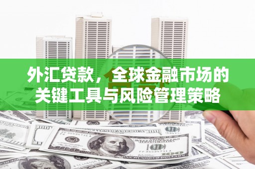 蒲江外汇贷款，全球金融市场的关键工具与风险管理策略