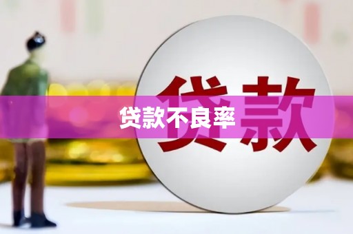 蒲江贷款不良率