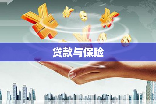 蒲江贷款与保险