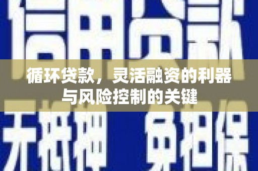 蒲江循环贷款，灵活融资的利器与风险控制的关键