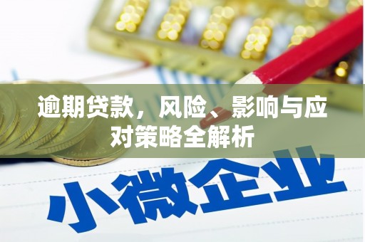 蒲江逾期贷款，风险、影响与应对策略全解析