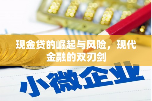 蒲江现金贷的崛起与风险，现代金融的双刃剑