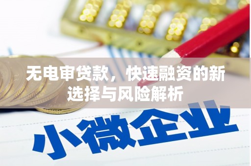 蒲江无电审贷款，快速融资的新选择与风险解析